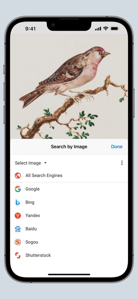 Search by Image for Safari - Menu de l'extension Recherche par image sur iPhone montrant plusieurs moteurs de recherche pour identifier une illustration d'oiseau