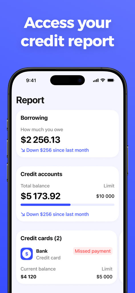 Mobile app dashboard displaying a detailed credit report and financial borrowing information