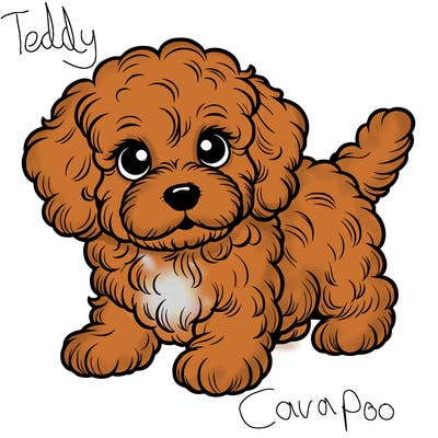 realistic cocapoo puppy