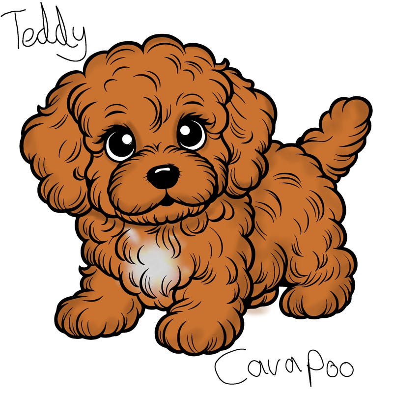 realistic cocapoo puppy