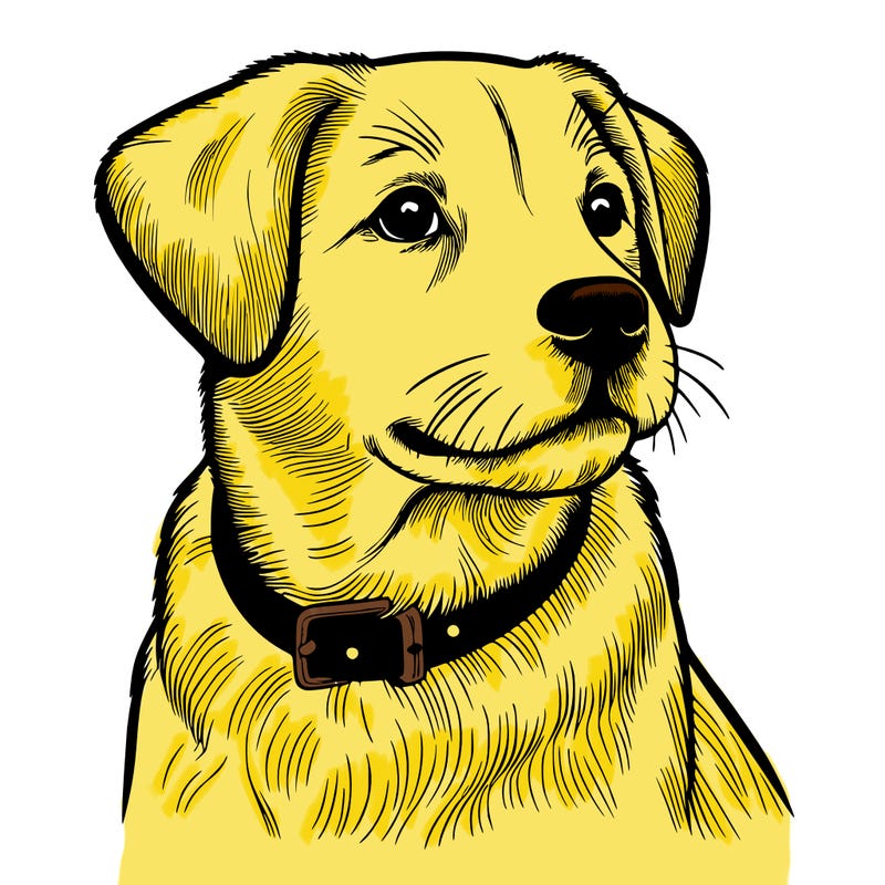 dog realistic