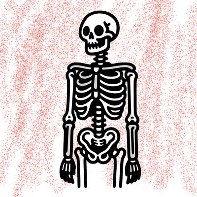 skeleton
