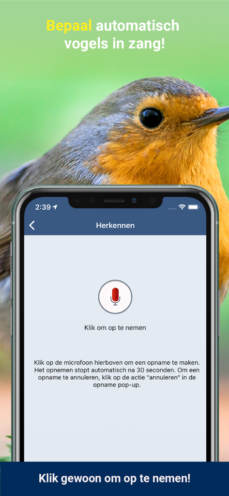 Interfaccia dell'app Vogelzang Id Nederland per l'identificazione automatica del canto degli uccelli con pulsante di registrazione