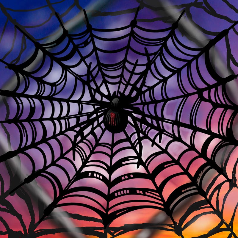 spider web