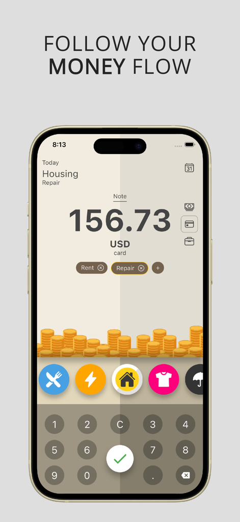 Pantalla de entrada manual de la aplicación ¡¿Se acabó el dinero?! para rastrear gastos con iconos de categorías