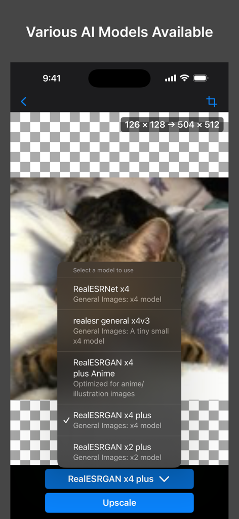 Image Super Res - A selection menu of various AI models for image upscaling in the Image Super Res app