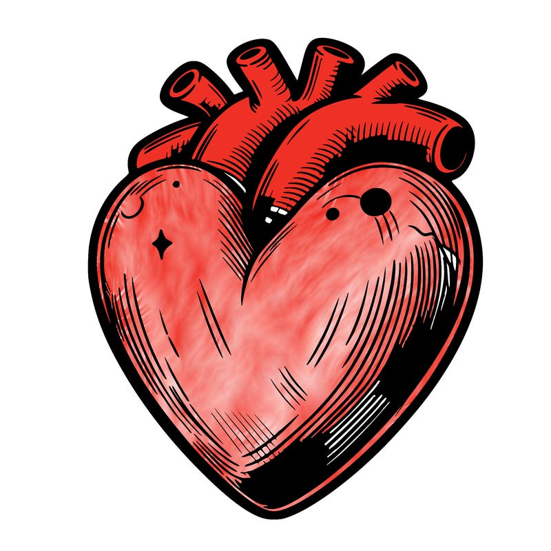 realistic heart