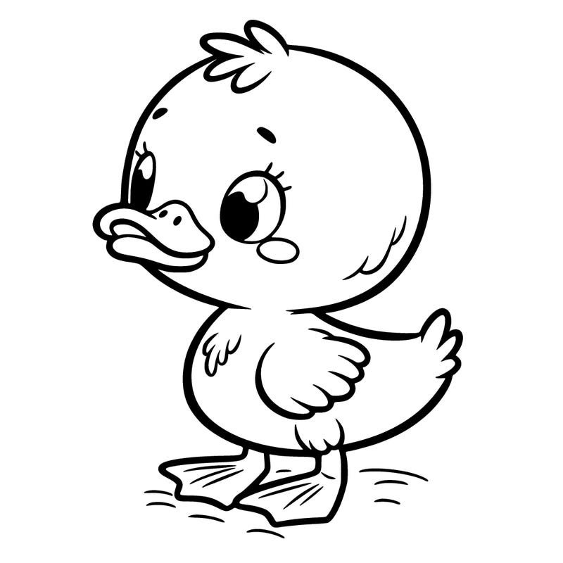 baby duck