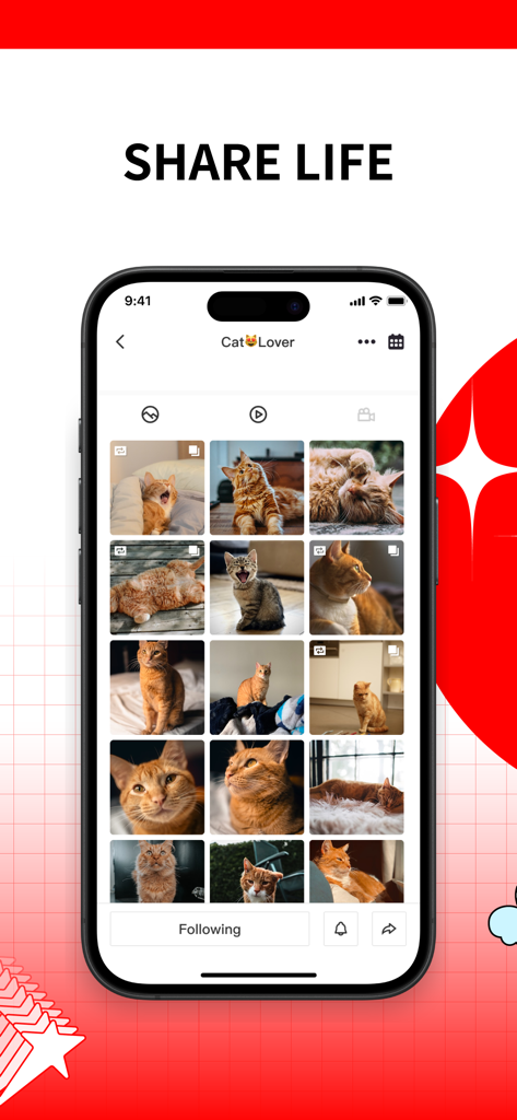 17LIVE - Live Streaming & Chat - A profile page in the 17LIVE app featuring a grid of cat photos with the text Share Life