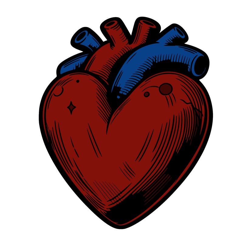 realistic heart
