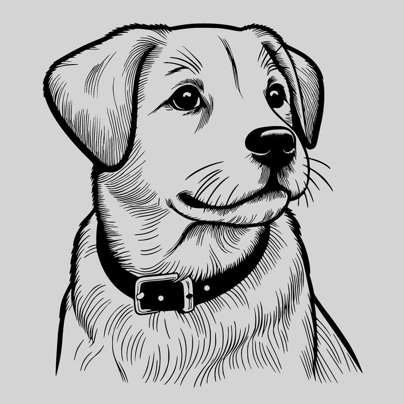 dog realistic