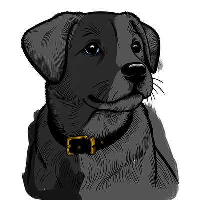 dog realistic