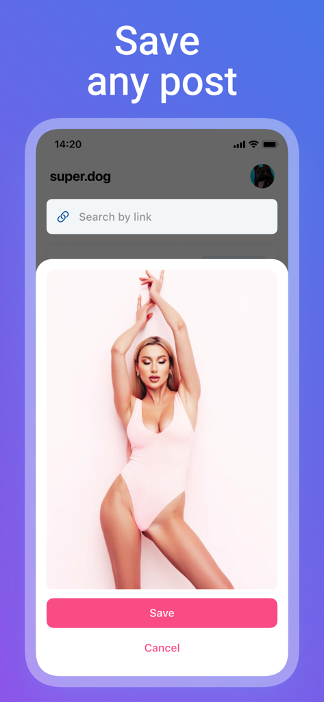 Xstory app interface displaying a search by link feature to save Instagram posts