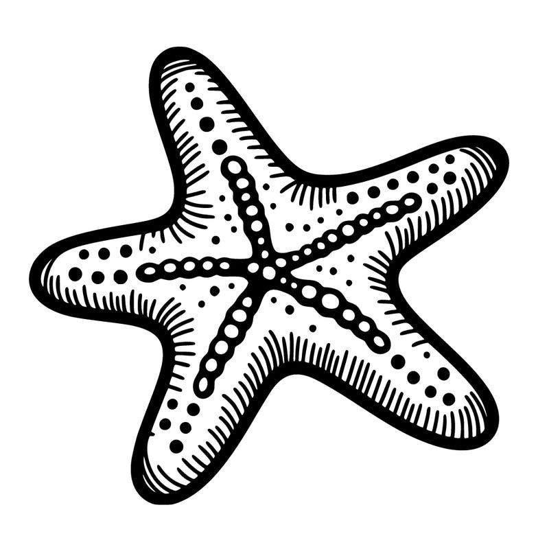 starfish