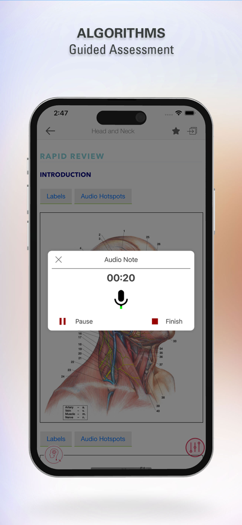 Rapid Review Anatomy Guide - Rapid Review Anatomy Guide interface showing an audio note recording popup over a head and neck anatomical illustration.