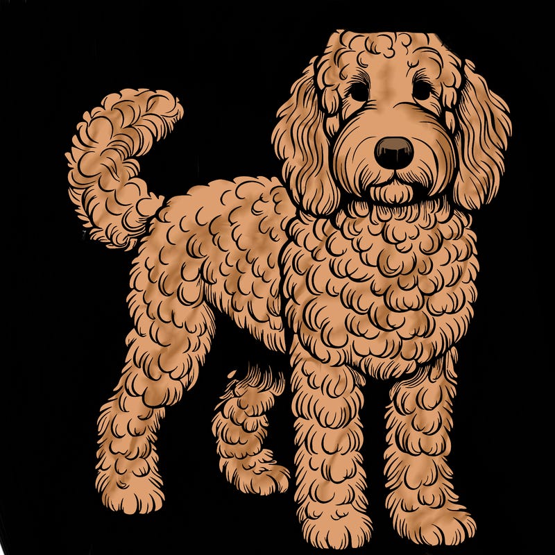 golden doodle dog realistic