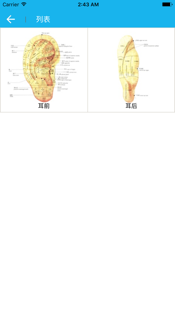 Diagramm der vorderen und hinteren Ohrakupunkturpunkte in der Traditionellen Chinesischen Medizin