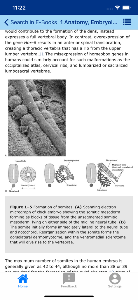MedOne - Interface do aplicativo MedOne mostrando uma página de e-book de anatomia e embriologia com diagramas científicos