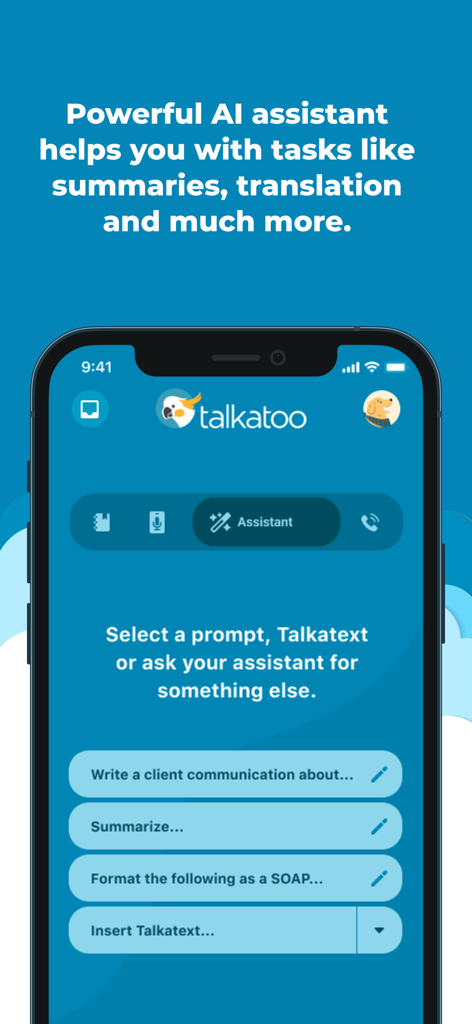 Talkatoo - Talkatoo app interface for AI assistant tasks like medical summaries and client communications