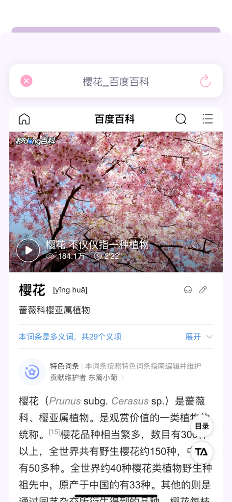 拍照识花 - An encyclopedia page within the flower identification app showing scientific details and photos of cherry blossoms.