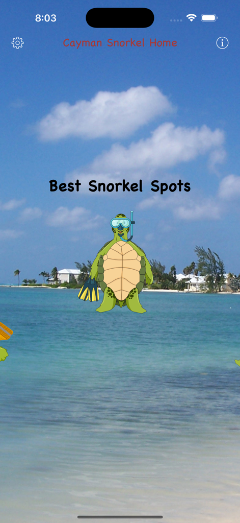 Cayman Snorkel app home screen featuring a cartoon turtle and tropical beach background