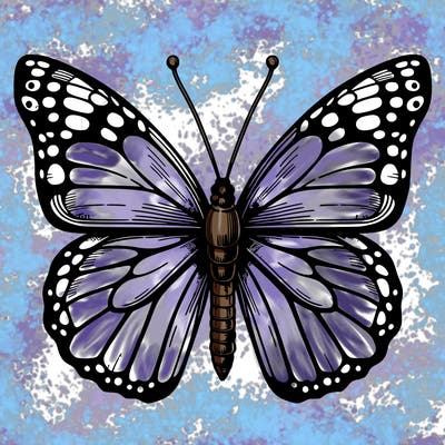realistic butterfly