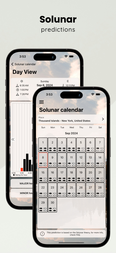 Solunar calendar and daily fishing activity predictions on the When to Fish app