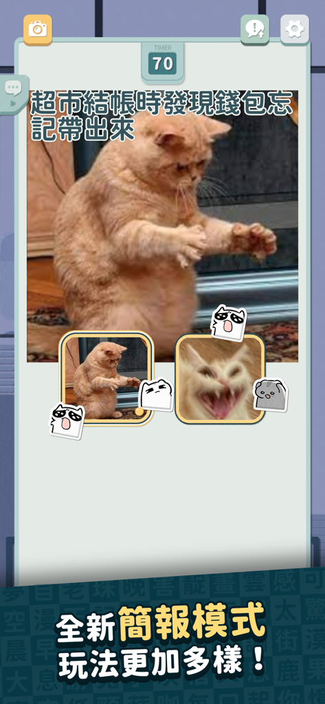 Gameplay screenshot of Disaster PR plus showing a meme matching game with cat images