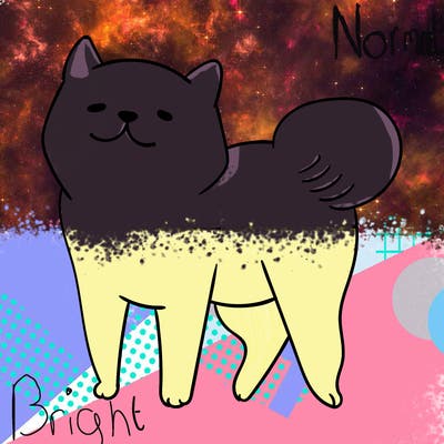 animals_29