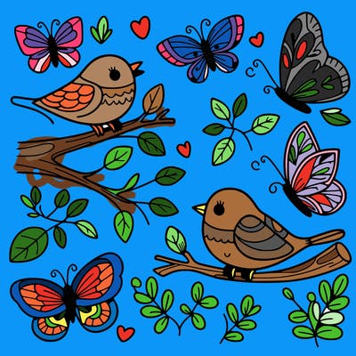 birds & butterflies