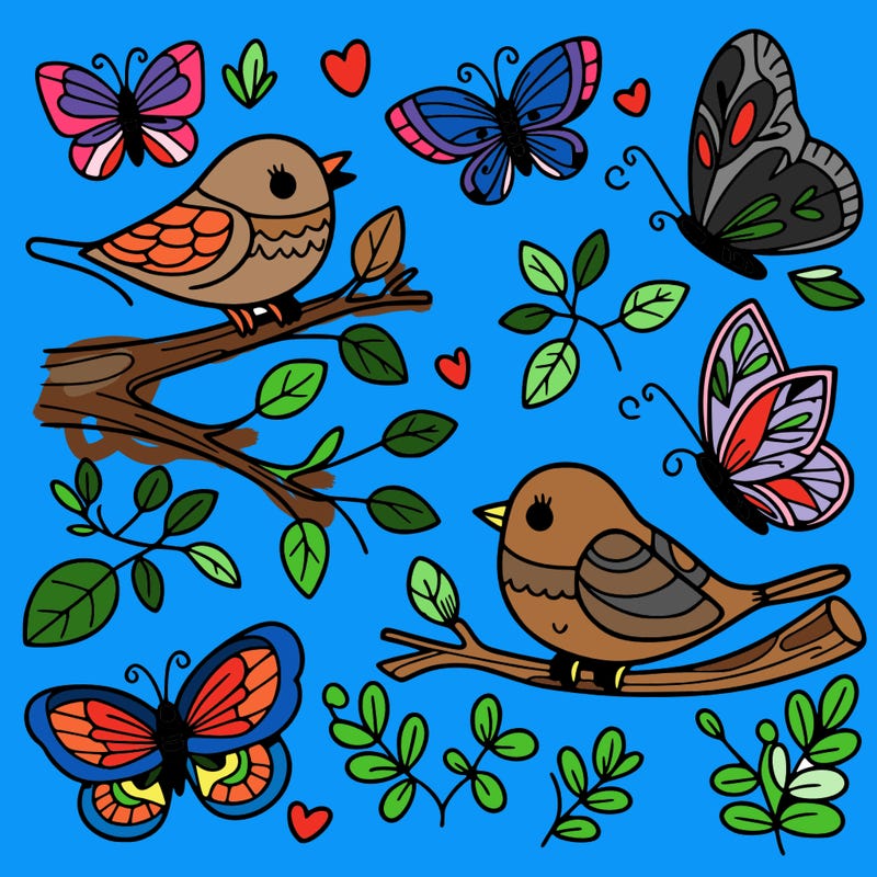birds & butterflies