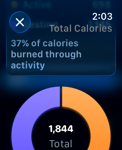 IRL Health Bar - ゲーミフィケーションされた健康インターフェースで、総消費カロリーとアクティビティの割合を示すサマリー画面