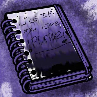 notebook