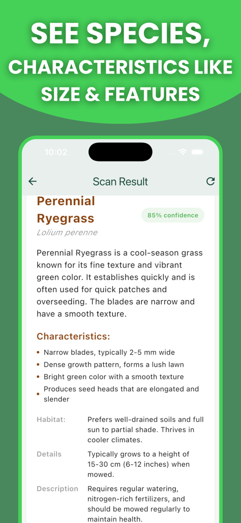 Grass Identifier: AI Scan - AI scan result showing detailed characteristics and care tips for Perennial Ryegrass