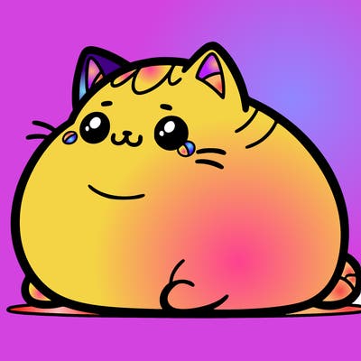 fat cat