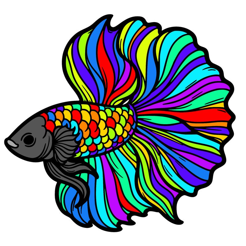 betta fish