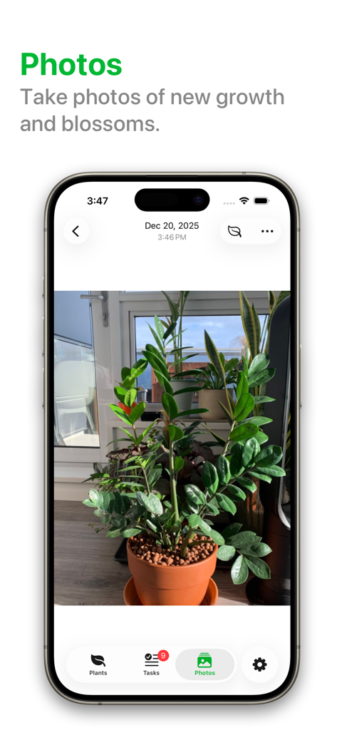PlantPal: Plant Care - Smartphone screen showing the PlantPal app photo journal feature with a picture of a ZZ plant