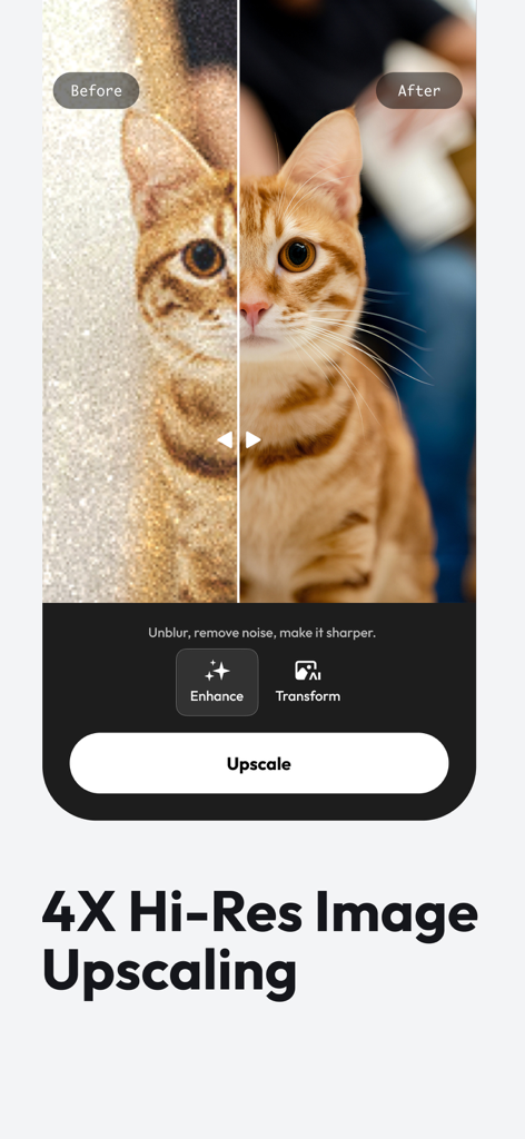 Blend: AI Models Logos Videos - Before and after comparison of a cat photo using 4X AI image upscaling and noise removal.