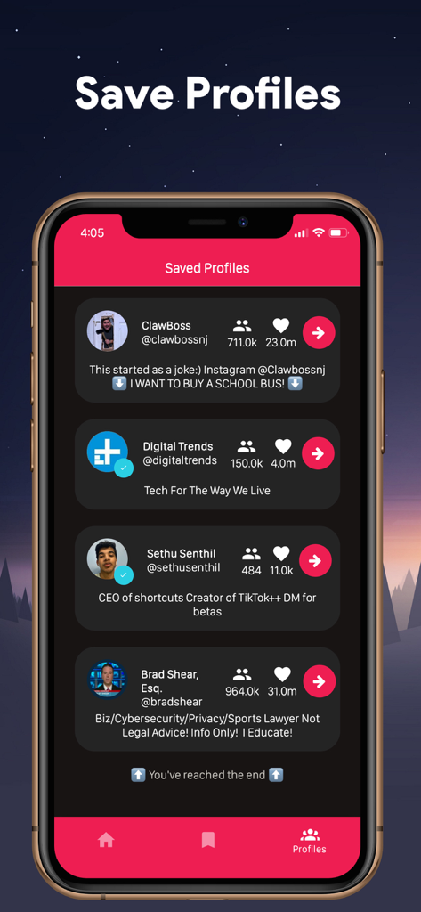 Una schermata di telefono cellulare che mostra l'interfaccia dell'app SaveTok con un elenco di profili TikTok aggiunti ai preferiti, inclusi conteggio follower e like.