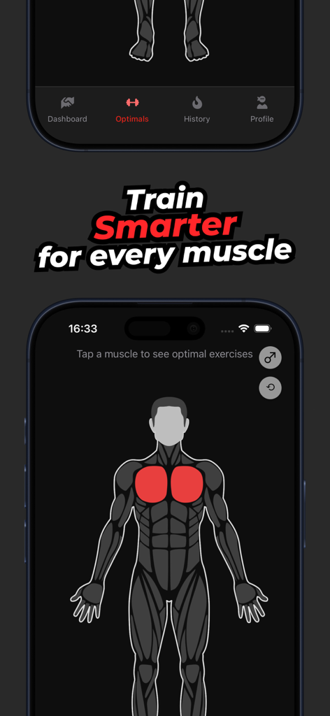 Self Coach Gym Workout Planner - Interface of the Self Coach app showing an interactive muscle map to select and view optimal exercises for the chest