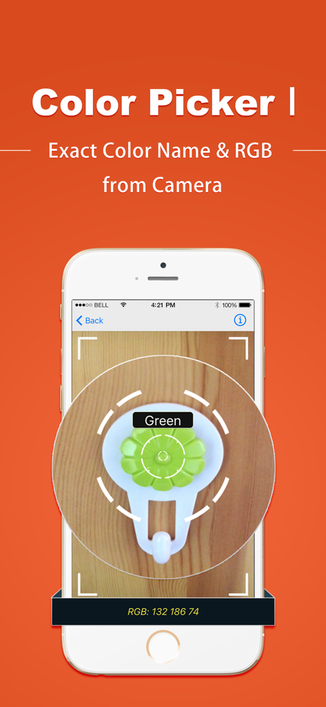Color Vision-Identifier,Test - iPhone screen showing color picker app identifying a green object and its RGB code using the camera