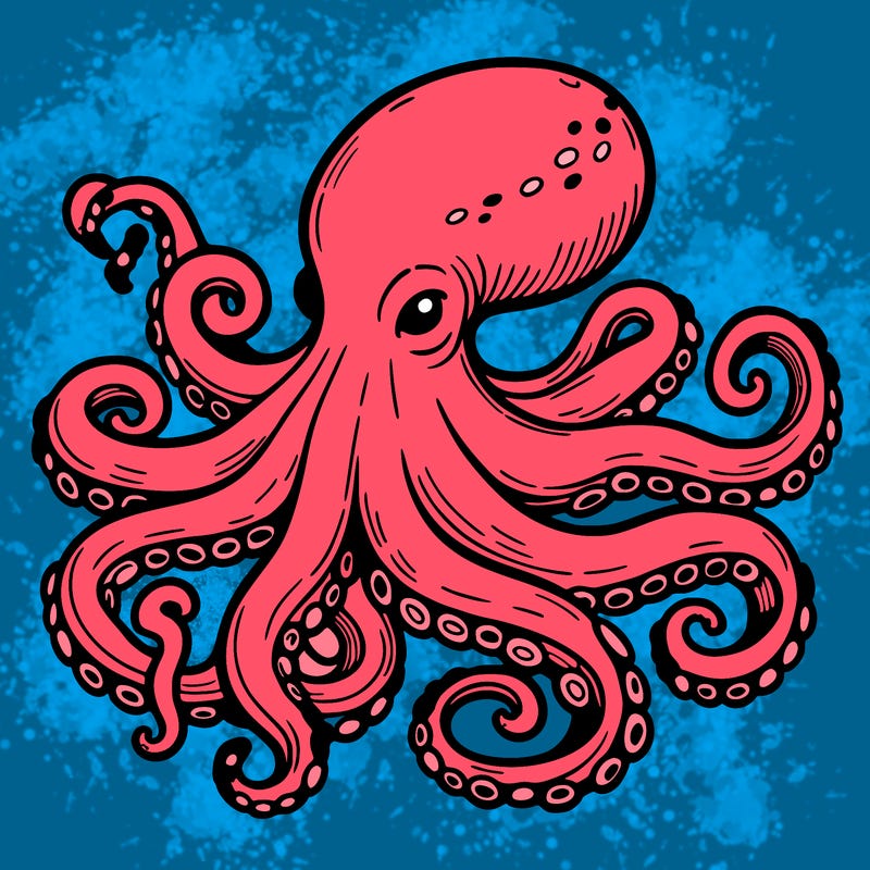 octopus