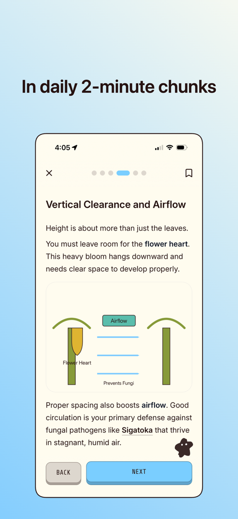 Wondering - Learn Anything - Uno schermo mobile che mostra una lezione visiva concisa sulla distanza verticale delle piante e sul flusso d'aria nell'app Wondering