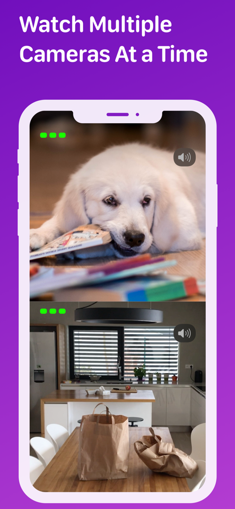 Pet Monitor VIGI - Smartphone displaying Pet Monitor VIGI with a split-screen view of two camera feeds showing a puppy and a kitchen