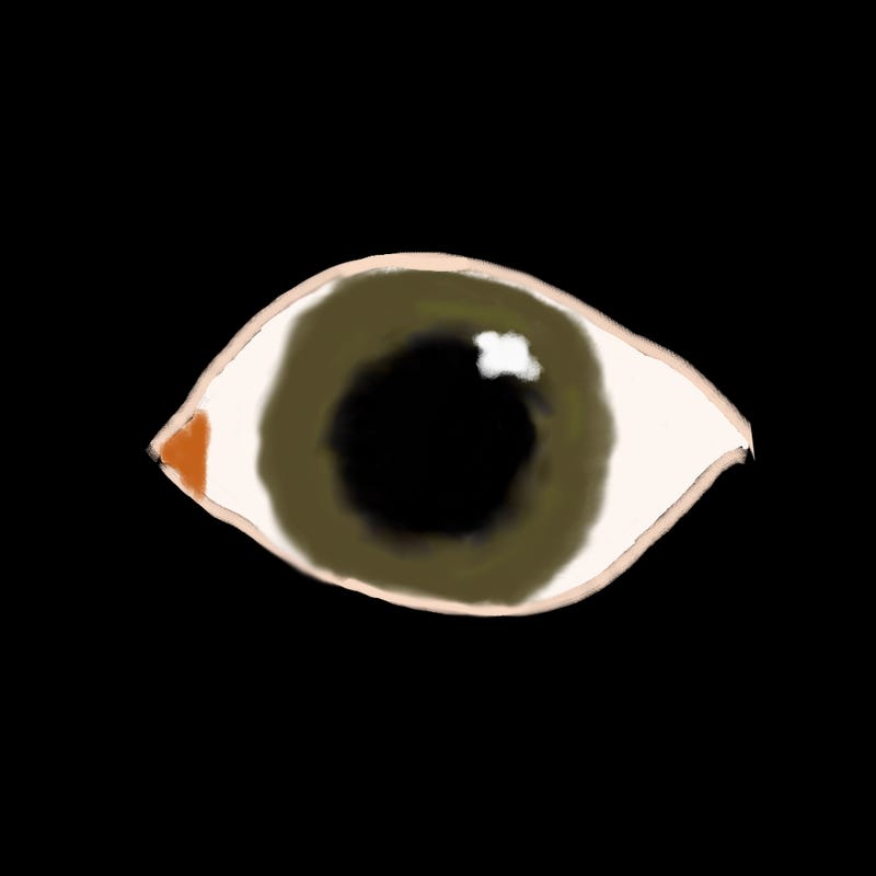 blank white page with nothing drawn on it