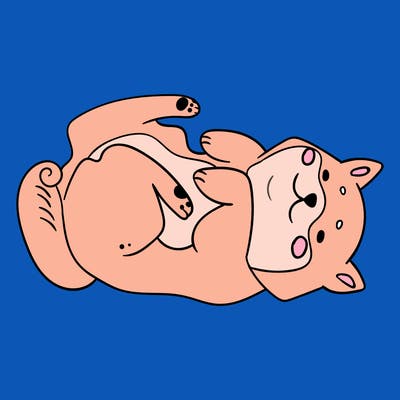 animals_30