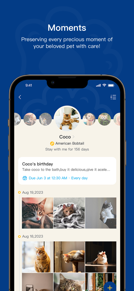 PawView app interface showing a digital pet photo album and timeline for a cat named Coco