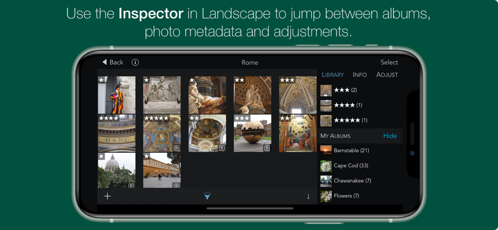 RAW Power - RAW Power app interface on iPhone in landscape mode showing photo library and the inspector sidebar.