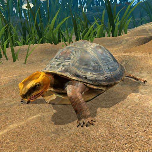 Box Turtle Simulator - Games App | MWM