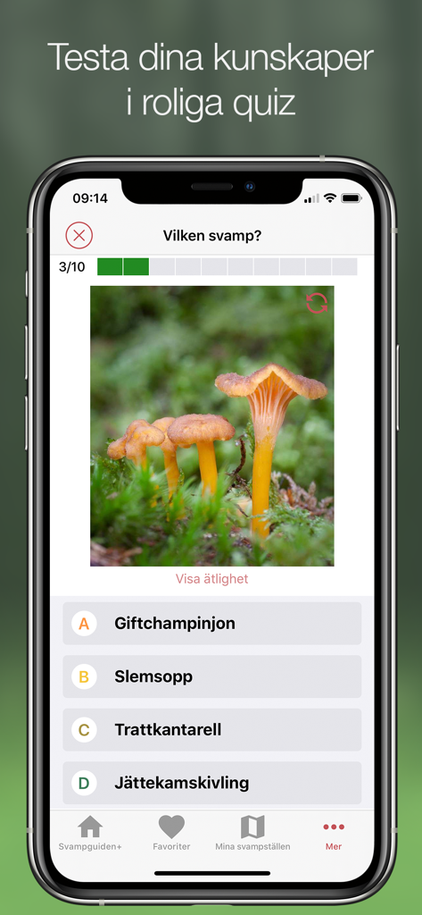 Svampguiden+ - A smartphone screen showing a mushroom identification quiz in the Svampguiden plus app with a photo of wild mushrooms and multiple-choice answers.